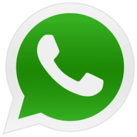 pngtree whatsapp phone icon png image 6315989